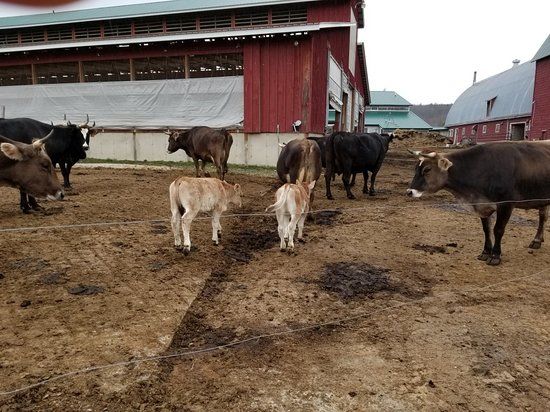 Hawthorne Valley Farm Store