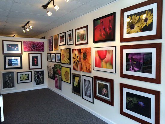 Long Island Photo Gallery