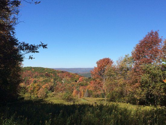 Delaware Otsego Audubon Soc. Sanctuary