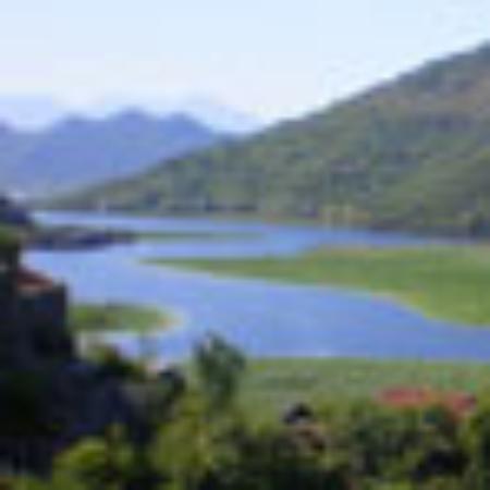 Endless Summer Grille