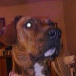 Clarence Country Doughnuts