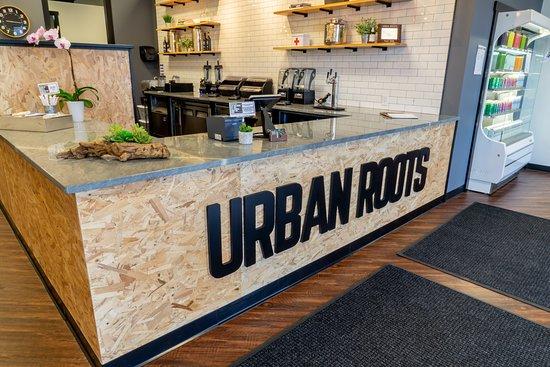 Urban Roots