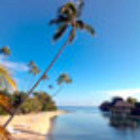 The Greene Turtle Sports Bar & Grille