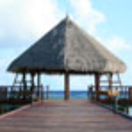 Big Phat Daddy's BBQ