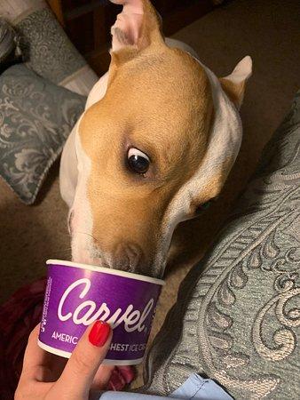 Carvel Ice Cream and Bakery