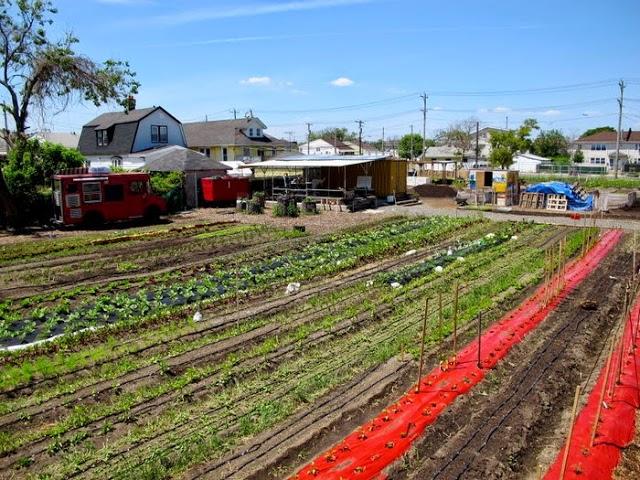 Edgemere Farm