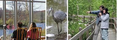 Sapsucker Woods Pond