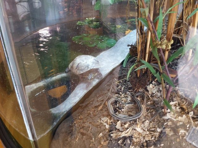 South Fork Natural History Museum and Nature Center