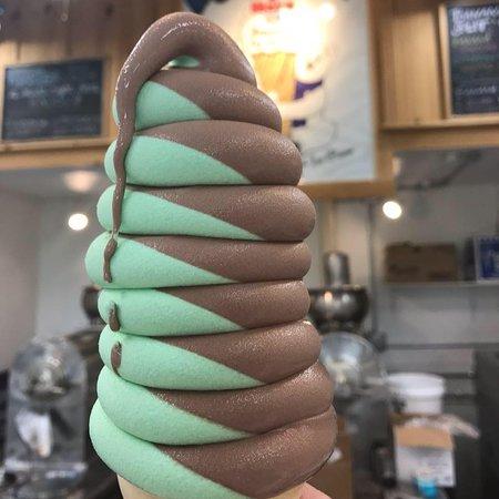 Polar Bear Homemade Ice Cream