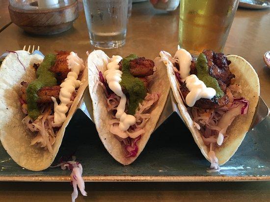 Elephant And The Dove