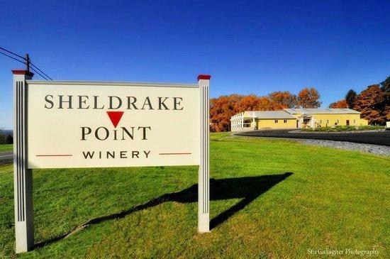 Sheldrake Point Winery Tasting Room Hector