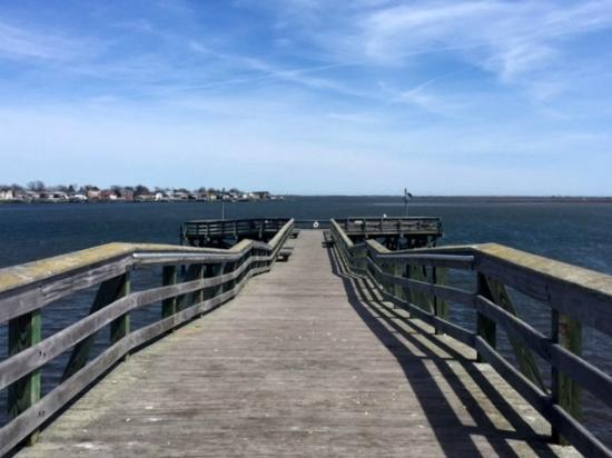 Norman J. Levy Park & Preserve