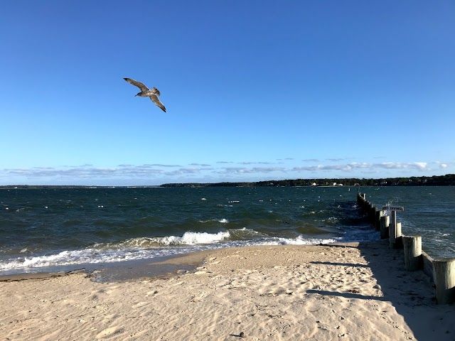 Founders Landing Park