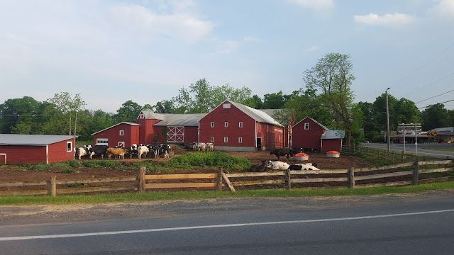 Story Farms