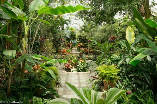 Planting Fields Arboretum