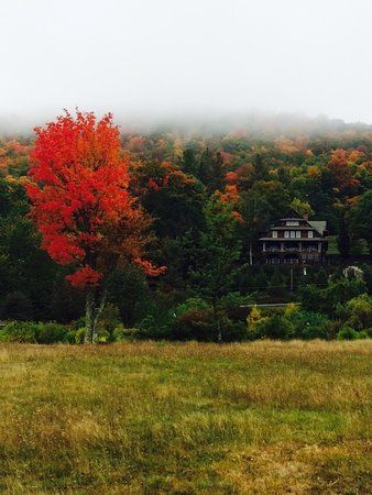 Mountain Top Arboretum