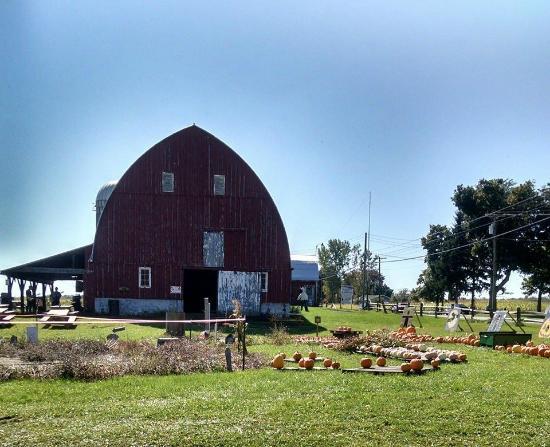 Meadeville Farm Pumpkin Patch