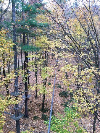 Catamount Aerial Adventure Park