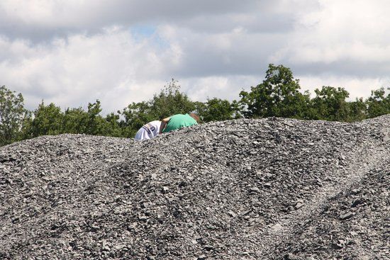 Penn Dixie Fossil Park & Nature Reserve