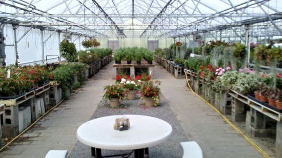 Schoharie Valley Farms