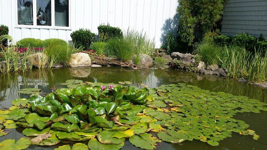 Holtsville Ecology Site