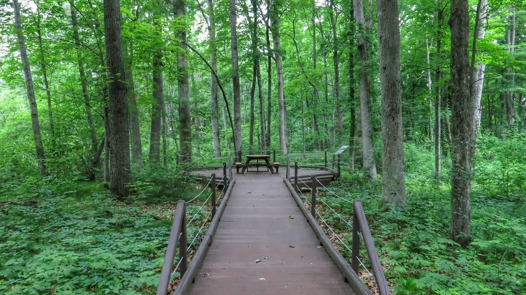 Saratoga National Historical Park