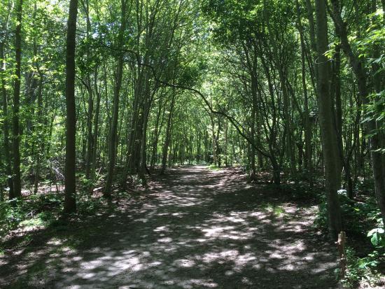 Gardiner County Park