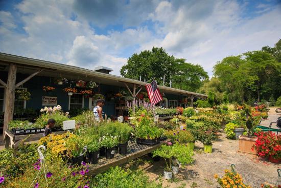 Harvest Moon Farm and Orchard